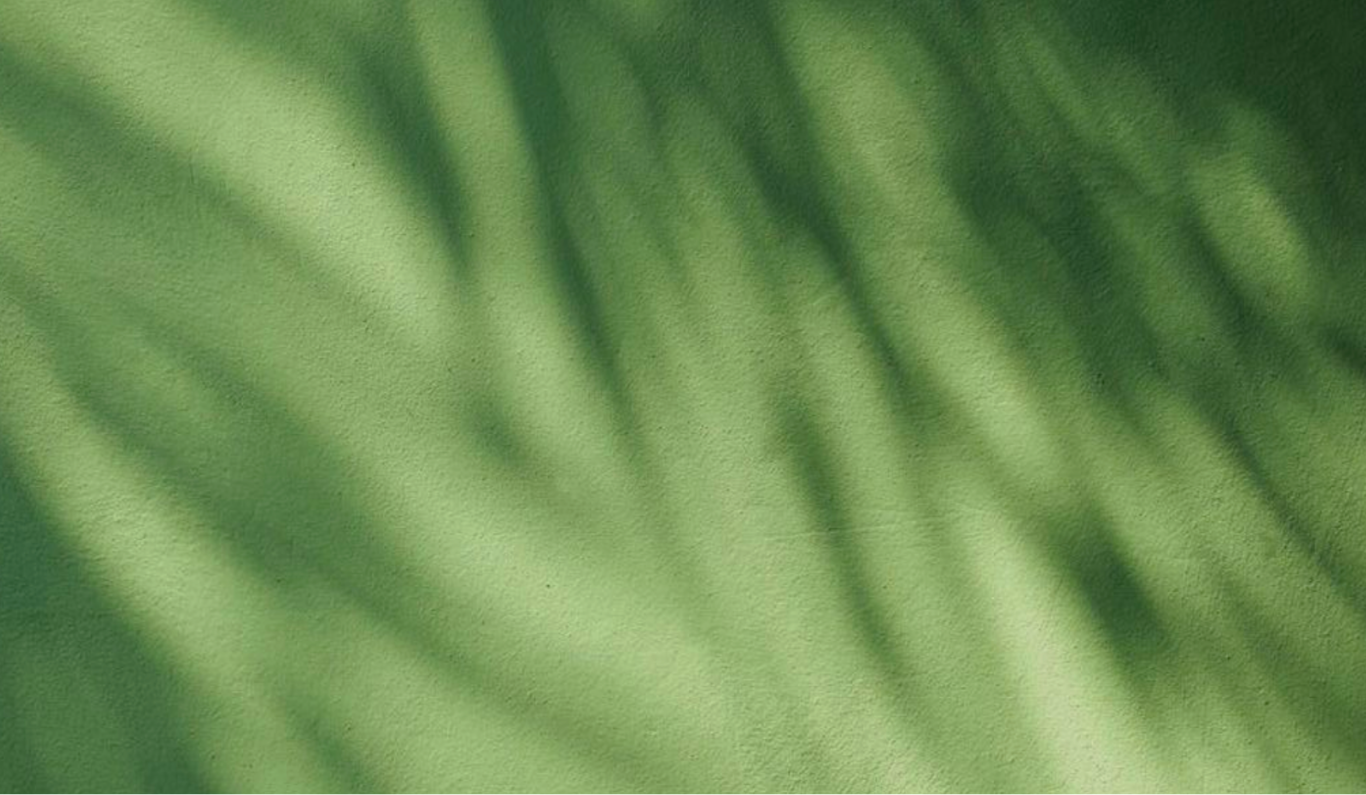 Soft leaf shadows on a green background
